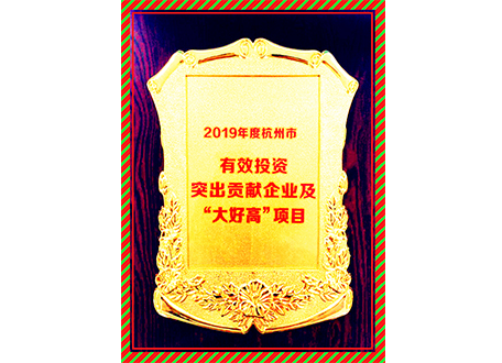 中欣晶圓榮獲2019年度杭州市有效投資突出貢獻(xiàn)企業(yè)及“大好高”項(xiàng)目